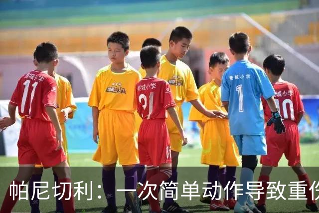 帕尼切利：一次简单动作导致重伤，起初一直问这种事怎么会发生